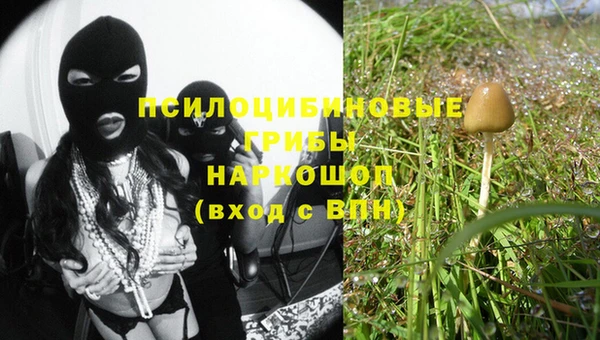 дурь Аркадак