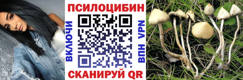 Псилоцибиновые грибы Cubensis Петухово
